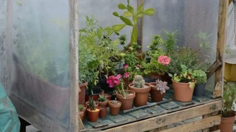 proteger plantas